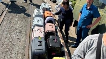 Сім’ю з 14 котами прихистили після ракетного удару по Львову