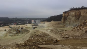 На Стрийщині директор лісгоспу уник покарання за передачу лісу під карʼєр