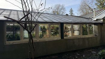 У Львові оновили оранжерею з 300 видами лікарських рослин