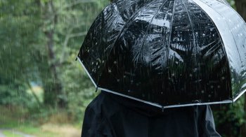 Блискавка влучила у парасолю: правоохоронці розповіли деталі у Львівській громаді