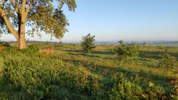 Львівська міськрада готує на продаж через аукціон землю у селі Гряда