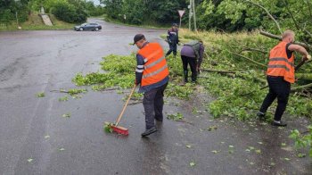У Львові ліквідовують наслідки негоди