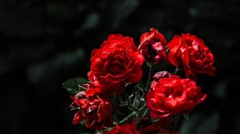 12 червня: церковні свята, іменинники, прикмети та заборони