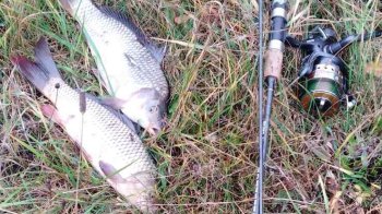 На Львівщині спіймали порушника під час вилову риби методом багріння