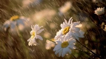 Синоптики розповіли, якою буде погода на Львівщині 8 серпня