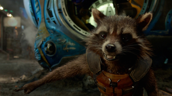 Викрадення єнота з Херсона: що відомо про інцидент