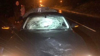 На Львівщині водій Audi A5 на смерть збив пішохода