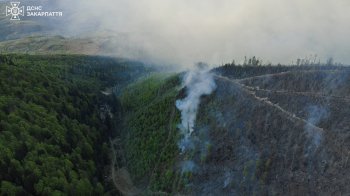 Масштабну пожежу в Карпатах допомагають гасити 36 львівських рятувальників