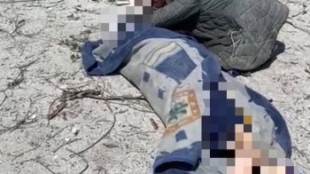 Росіяни обстріляли школу в Сєверодонецьку: щонайменше 3 загиблих