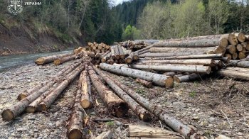 Підприємця зі Славського підозрюють у незаконній вирубці лісу на 1,2 млн грн