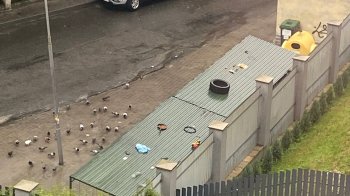 Звернення скерували у районну адміністрацію