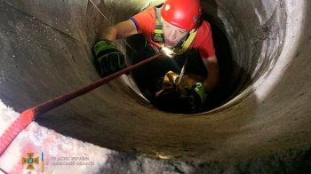 На Львівщині рятувальники дістали кота, який впав у колодязь