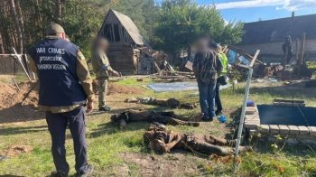 Стріляли у груди та голову: на Харківщині у підвалі знайшли закатовану росіянами сім’ю