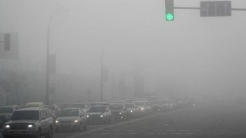 Видимість впаде до 200 метрів: Львівщину накриє густий туман