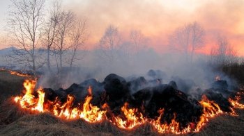 Впродовж трьох днів на Львівщині очікується висока пожежна небезпека