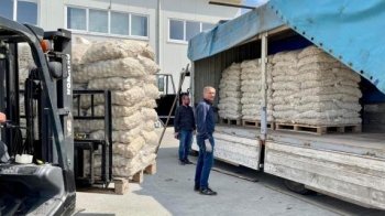 Львівщині передали 5 тонн насіневої картоплі із Голландії: які господарства скористають