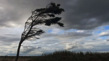 На Львівщині прогнозують дощ, мокрий сніг, оголошено штормове попередження: прогноз погоди на 26 квітня