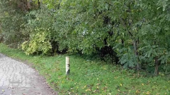 Землю під торгові будівлі в Бориславі продали в 18 разів дорожче стартової ціни