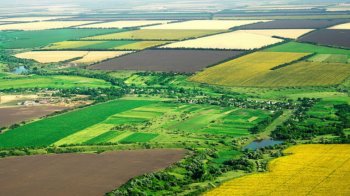 АМКУ розслідує можливу змову двох компаній на аукціонах у Львівській області