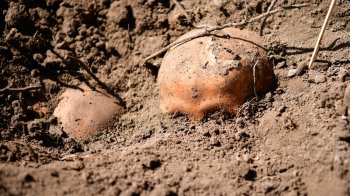На Львівщині знайшли 25 місць поховань, що можуть належати полякам