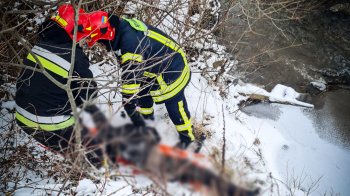 На Львівщині у річці втонула 49-річна жінка