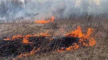 В селі на Львівщині через пожежу сухої трави загинув 64-річний чоловік