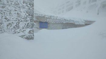 У Карпатах вирує хуртовина та погана видимість: туристам радять утриматися від походів у гори