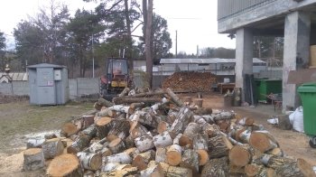 Звалище порубаних дерев. Фото: Facebook-сторінка «Гаряча лінія міста Львова»