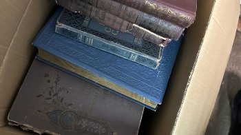 Мешканець Львівщини намагався вивезти за кордон пів сотні антикварних книг