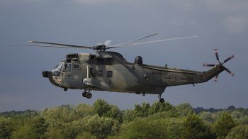 Фото Wikimedia / Ronnie Macdonald