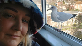 Британка товаришувала з чайкою, доки та ледь не відкусила їй носа