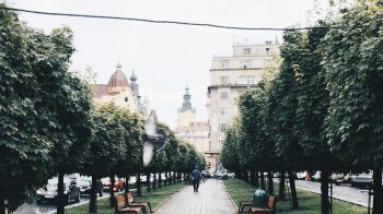 львів прогулянка