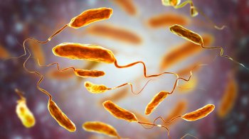 Випадків холери в Україні не зареєстровано — МОЗ