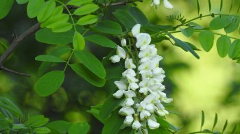 Хмарно, але без опадів: прогноз погоди на 4 травня