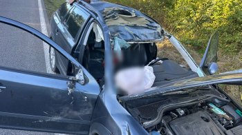 В аварії з лосем біля Великих Мостів загинув 57-річний пасажир Škoda