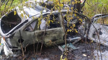 На Стрийщині сталася смертельна ДТП: Ford Focus злетів у кювет та врізався в дерево