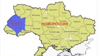 Хотіли новоросію і путіна: у Львові притягнуть до відповідальності 3 чоловіків