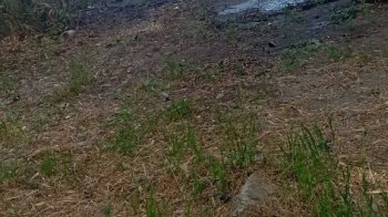 Фото - Андрющенко