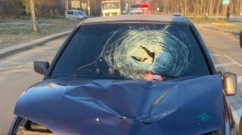 У Дрогобичі водій Volkswagen на смерть збив 78-річну пішохідку