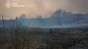 Під час гасіння пожежі сухостою біля Львова знайшли тіло чоловіка