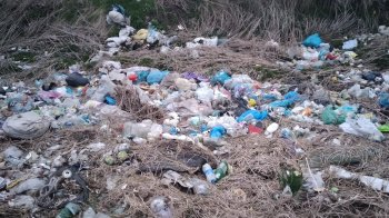 Пластикові пляшки та пакети зі сміттям: на Городоччині виявили стихійне сміттєзвалище (фото)
