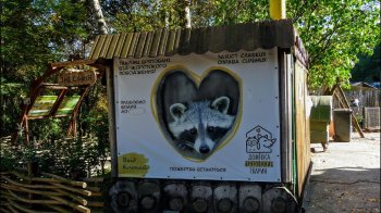 Львів'ян закликають приносити речі на ярмарок для підтримки врятованих тварин