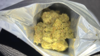 На Львівщині пес прикордонників знайшов в рейсовому автобусі наркотики