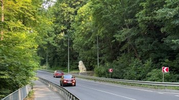Для будівництва підпірної стінки зріжуть понад пів сотні дерев на в’їзді до Львова