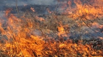 У Львові попереджають про пожежну небезпеку упродовж тижня