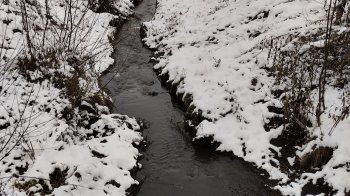 У річці на Львівщині виявили значне перевищення забруднень у сім разів