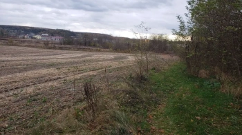 Міськрада Миколаєва продала землю під промисловість за 1,7 млн грн