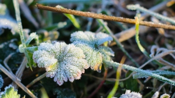 На Львівщині прогнозують заморозки до -5° та високий рівень пожежної небезпеки