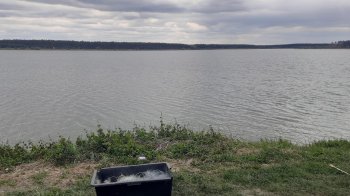 Шість порушень правил рибальства виявили за тиждень у Львівській області