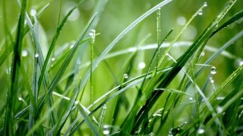 Якою буде погода 21 травня у Львові та Львівській області